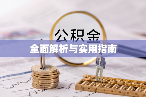 界首全面解析与实用指南