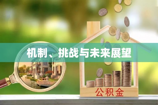 界首机制、挑战与未来展望