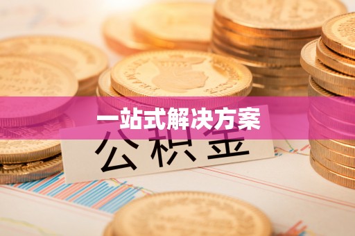界首一站式解决方案