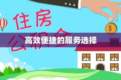 界首高效便捷的服务选择