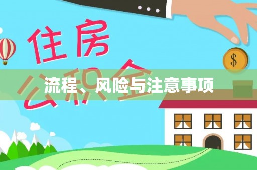 界首流程、风险与注意事项