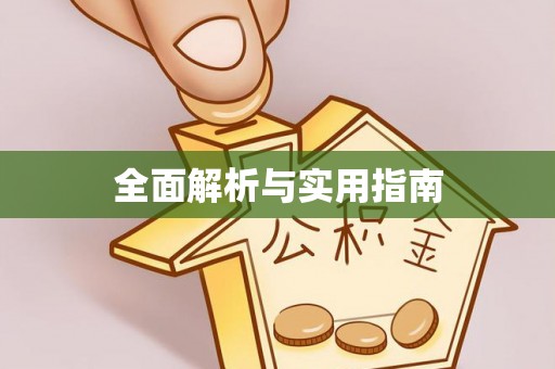 界首全面解析与实用指南