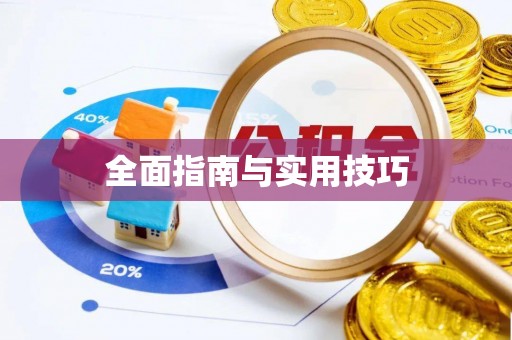 界首全面指南与实用技巧