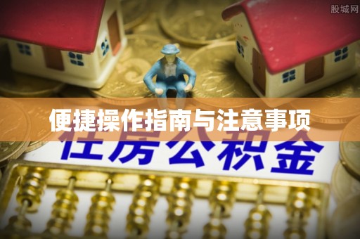 界首便捷操作指南与注意事项