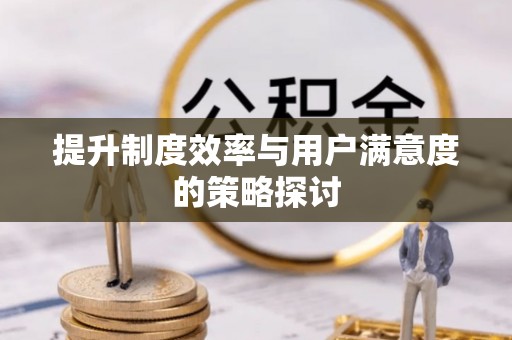 界首提升制度效率与用户满意度的策略探讨