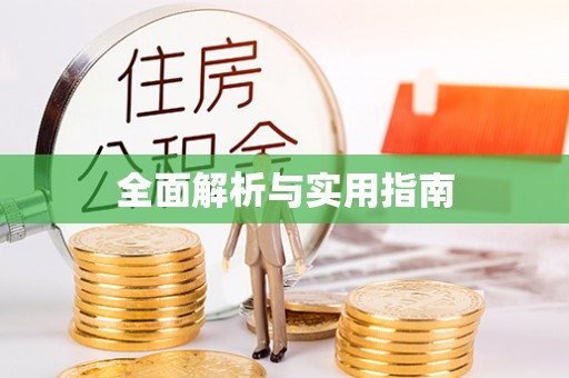 界首全面解析与实用指南