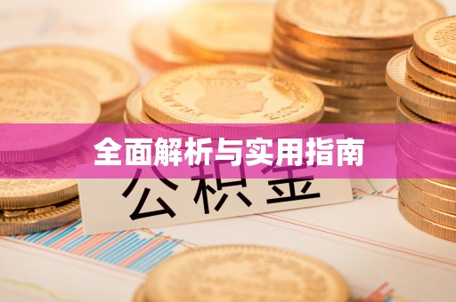 界首全面解析与实用指南