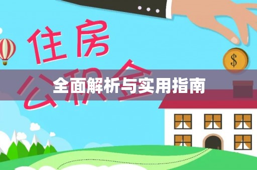 界首全面解析与实用指南