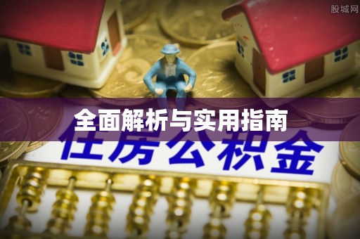 界首全面解析与实用指南