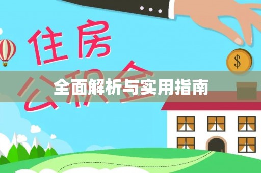 界首全面解析与实用指南