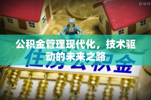 界首公积金管理现代化，技术驱动的未来之路