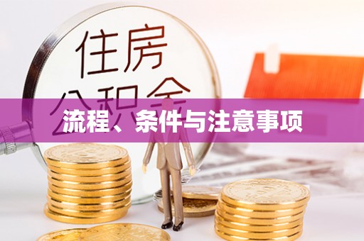 界首流程、条件与注意事项